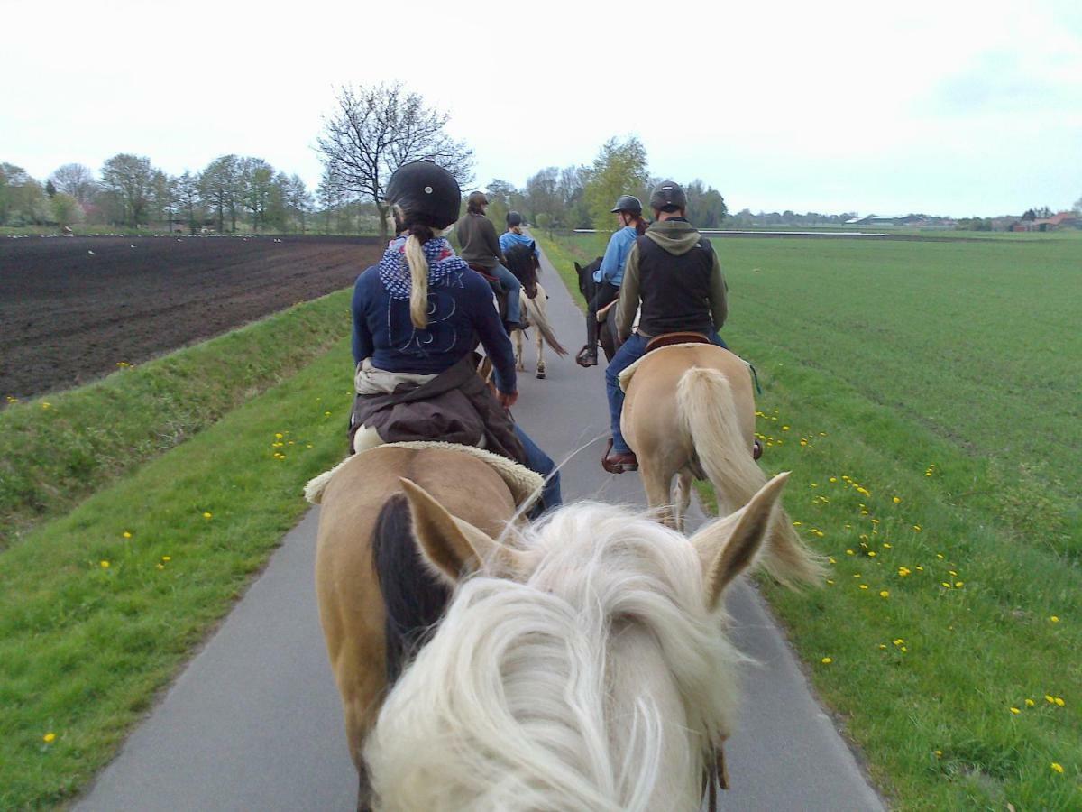 Ferien- Und Reiterparadies Vosshornerhof Neuschoo エクステリア 写真